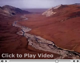 Wild lands Video.  Click to Play.